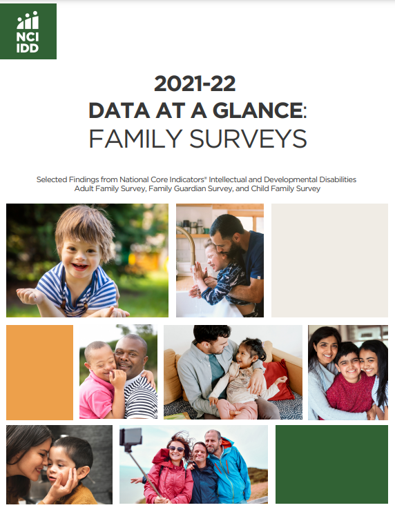 Data at a Glance Cover Page